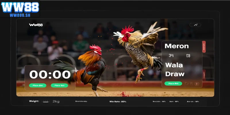 Giao diện cá cược đá gà cựa sắt trực tuyến trên một trang web uy tín.