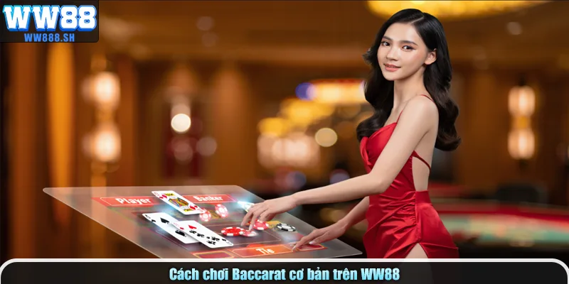 Cách chơi Baccarat cơ bản trên WW88