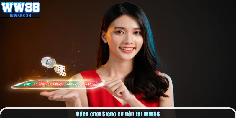 Cách chơi Sicbo cơ bản tại WW88