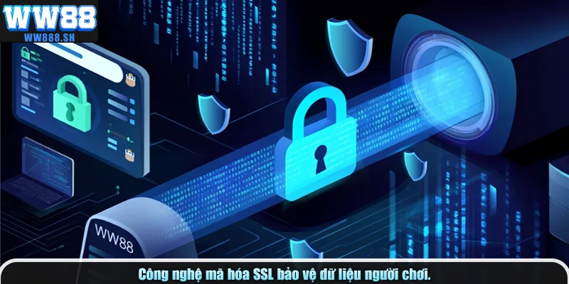 Công nghệ mã hóa SSL bảo vệ dữ liệu người chơi.