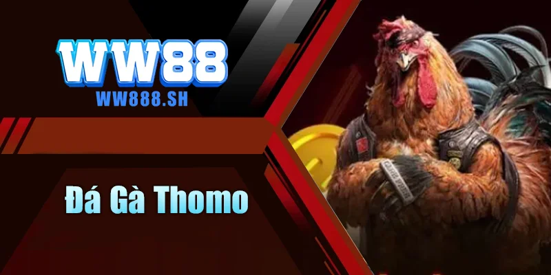 Đá Gà Thomo