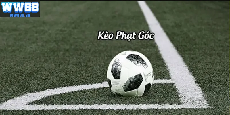 Người dùng chọn kèo phạt góc WW88.