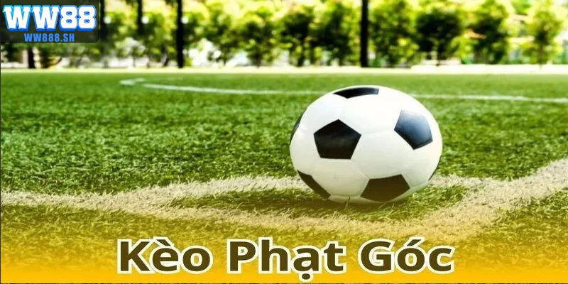 Người dùng dự đoán kèo phạt góc WW88.