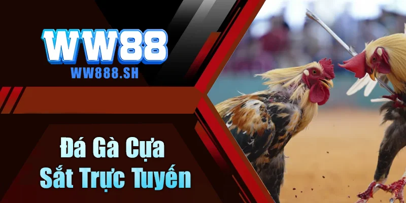 Đá Gà Cựa Sắt Trực Tuyến